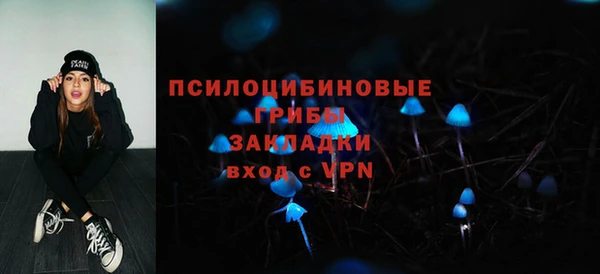СК Володарск