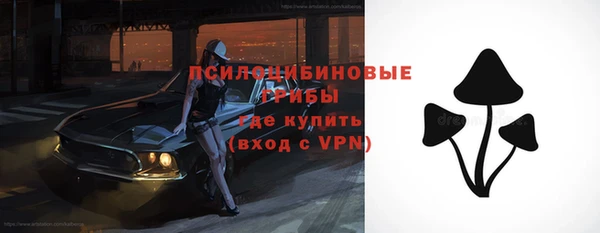 МДПВ Бронницы