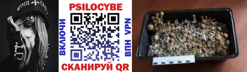 Псилоцибиновые грибы MAGIC MUSHROOMS  Кандалакша 